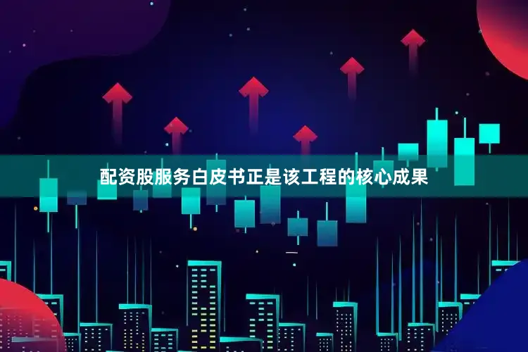 配资股服务白皮书正是该工程的核心成果