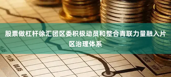 股票做杠杆徐汇团区委积极动员和整合青联力量融入片区治理体系